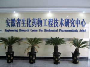 在线下注