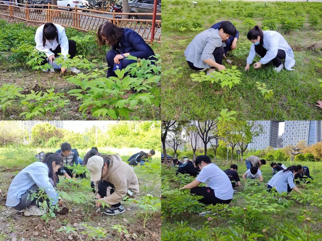 在线下注