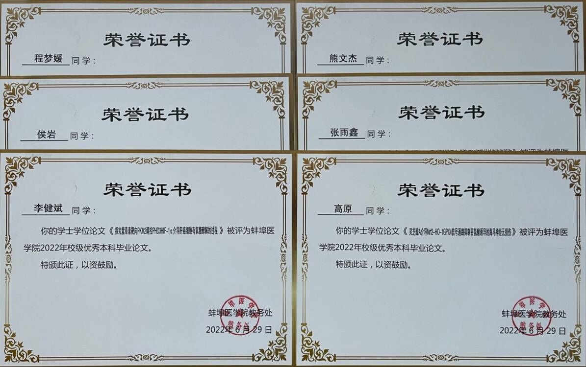在线下注